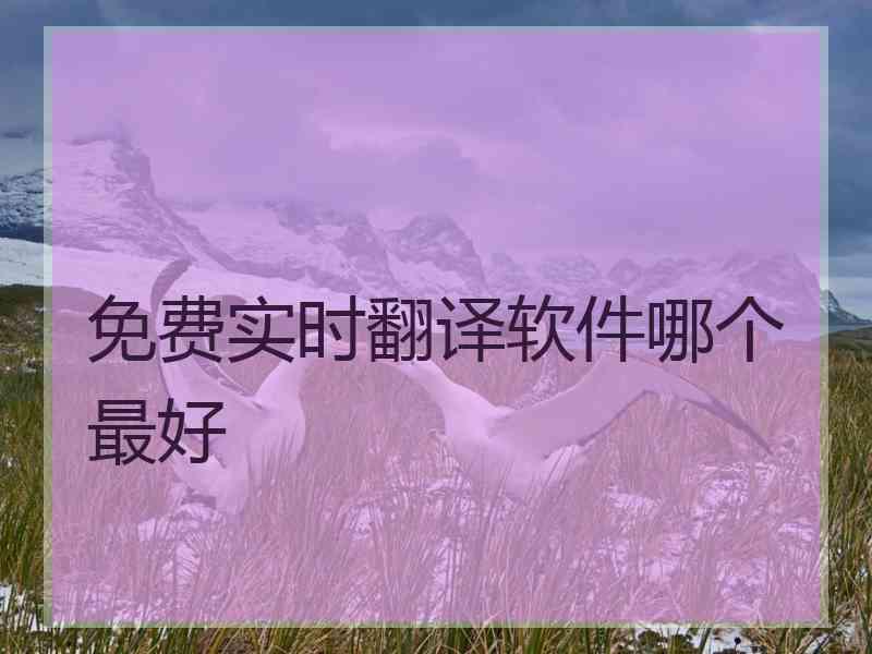 免费实时翻译软件哪个最好