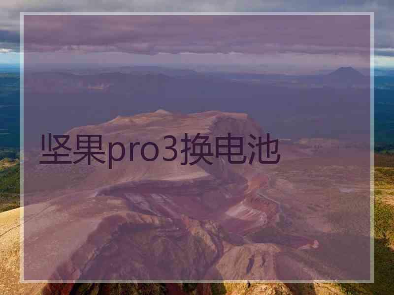 坚果pro3换电池