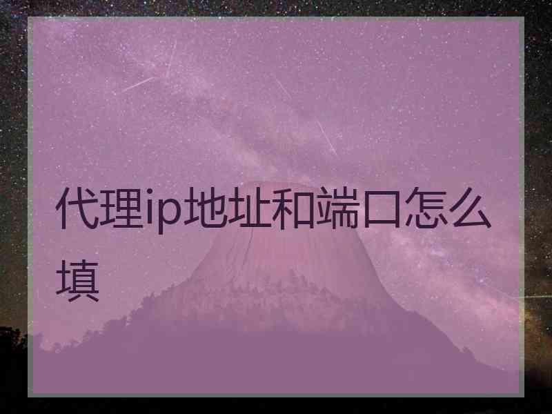 代理ip地址和端口怎么填