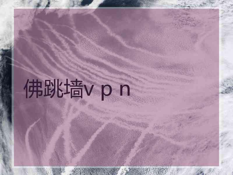 佛跳墙v p n