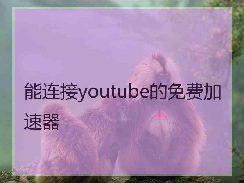 能连接youtube的免费加速器