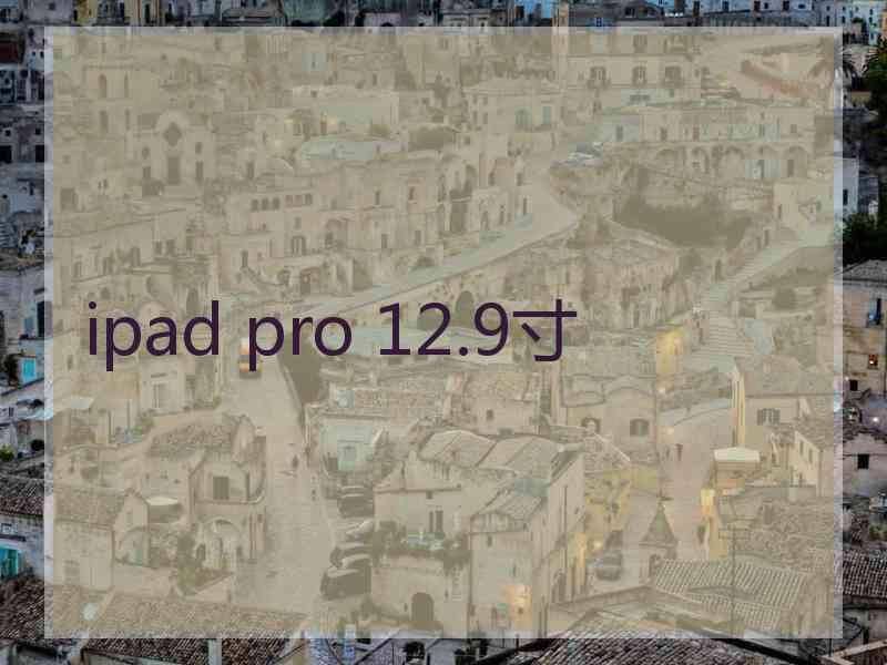 ipad pro 12.9寸