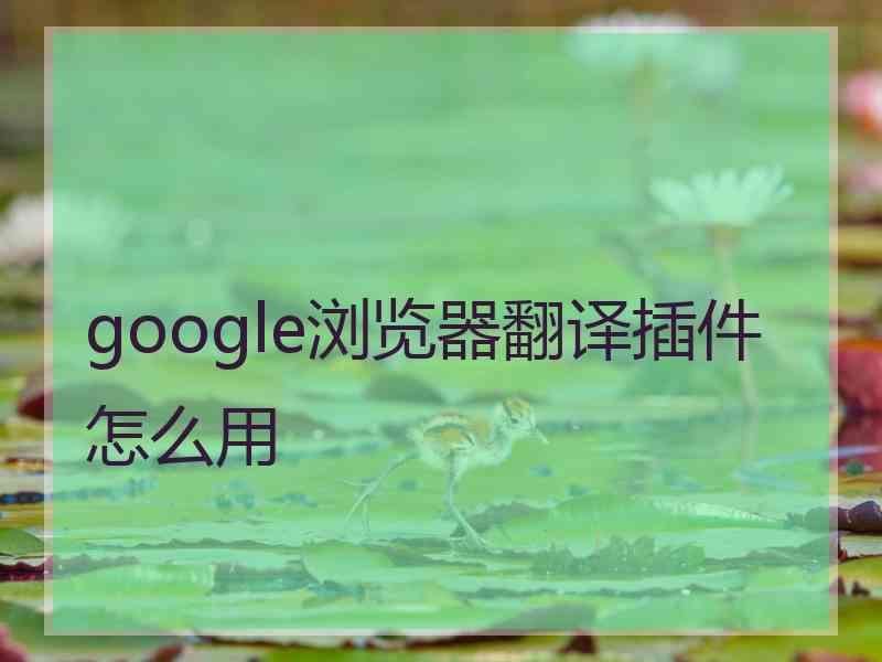 google浏览器翻译插件怎么用