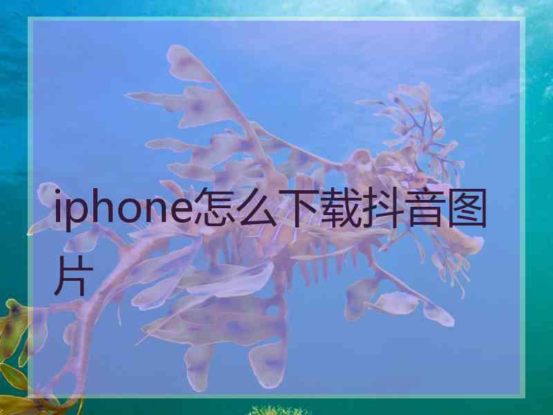 iphone怎么下载抖音图片