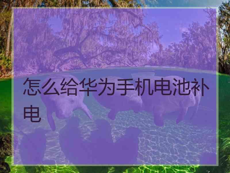 怎么给华为手机电池补电