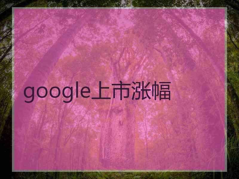 google上市涨幅