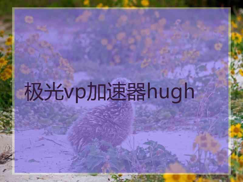 极光vp加速器hugh