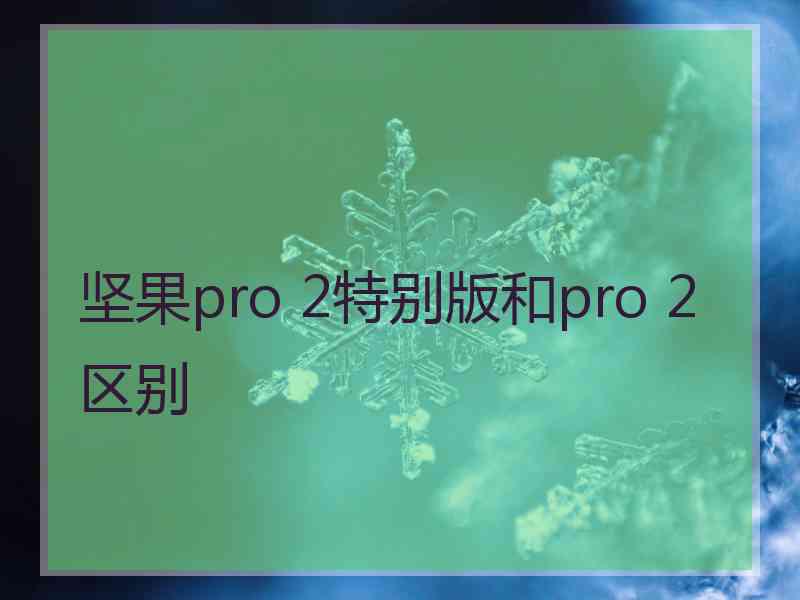 坚果pro 2特别版和pro 2区别