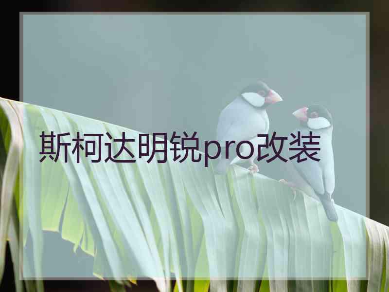 斯柯达明锐pro改装