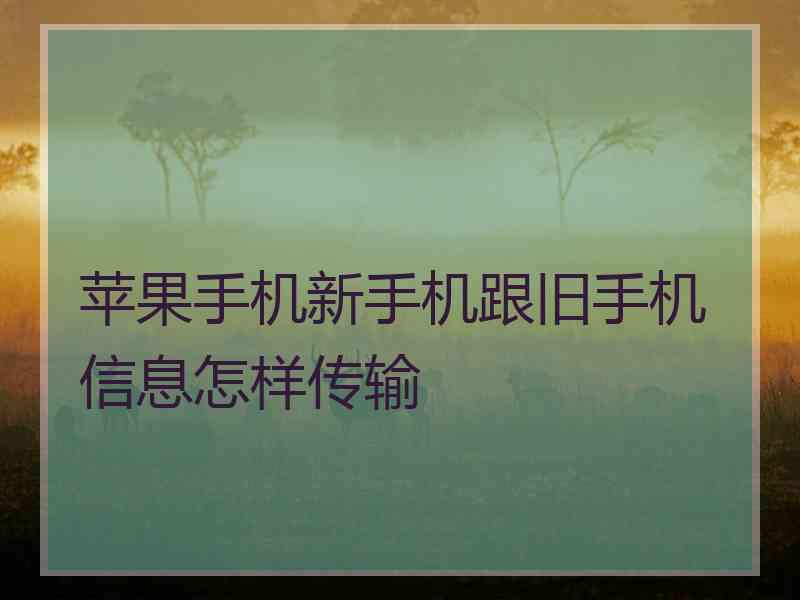 苹果手机新手机跟旧手机信息怎样传输