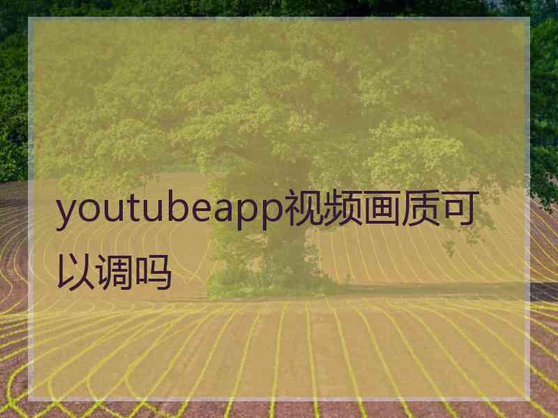 youtubeapp视频画质可以调吗