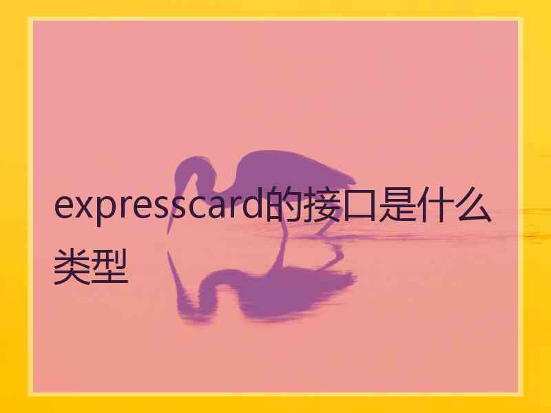 expresscard的接口是什么类型