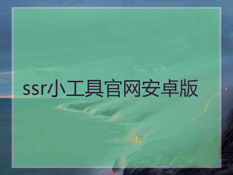 ssr小工具官网安卓版