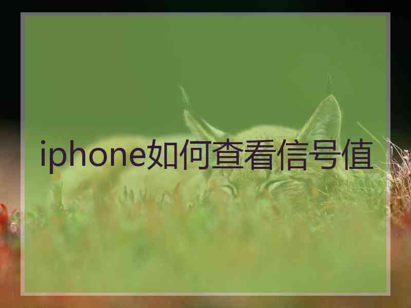 iphone如何查看信号值