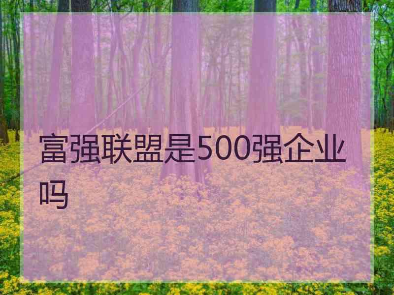 富强联盟是500强企业吗