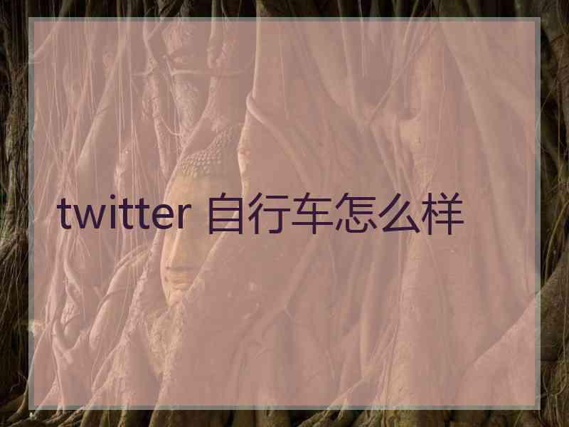 twitter 自行车怎么样