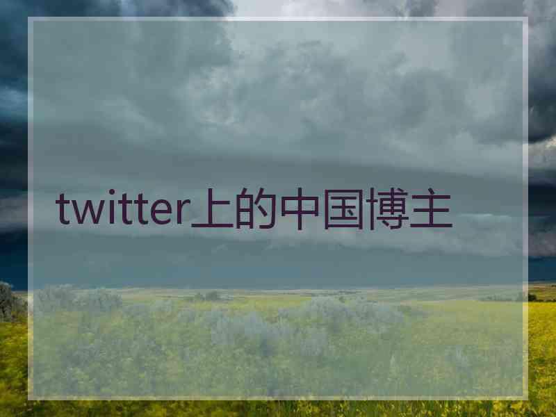 twitter上的中国博主