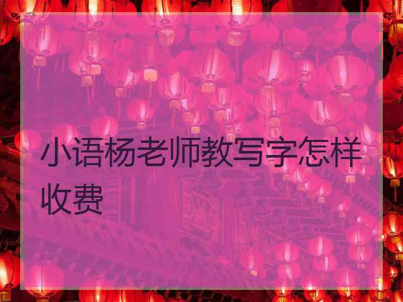 小语杨老师教写字怎样收费