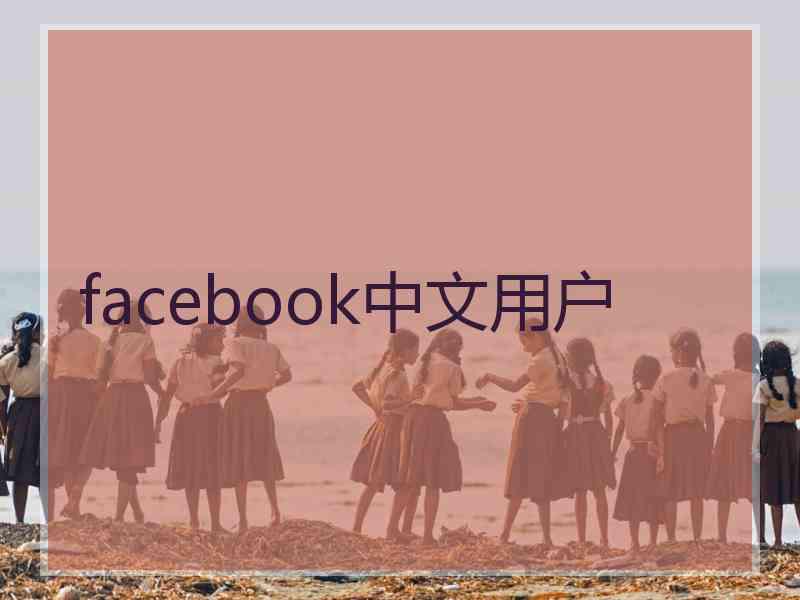 facebook中文用户