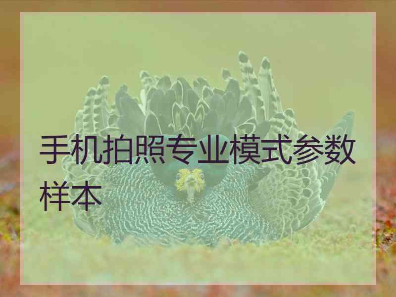 手机拍照专业模式参数样本