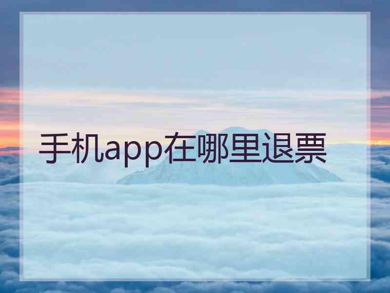 手机app在哪里退票