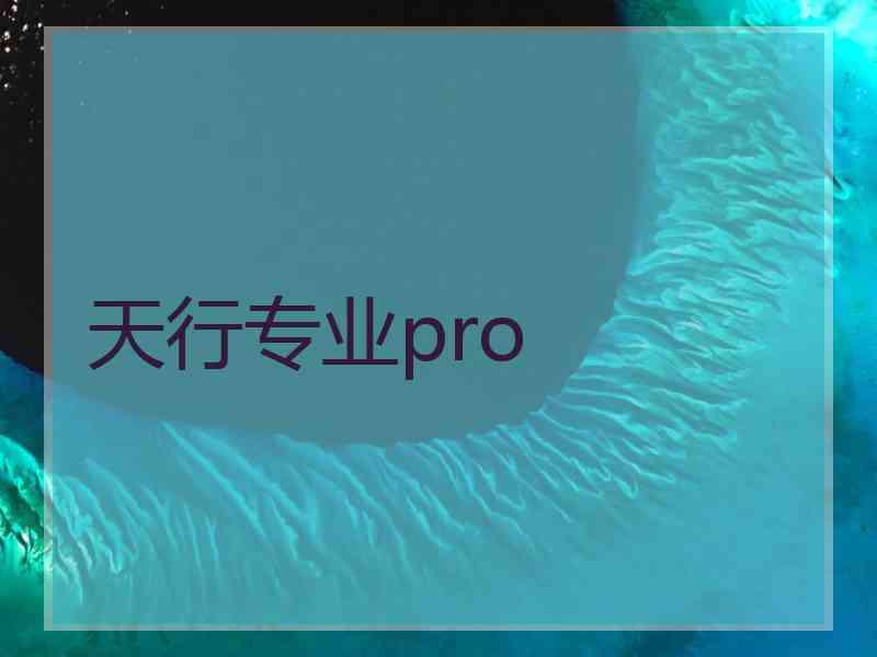 天行专业pro