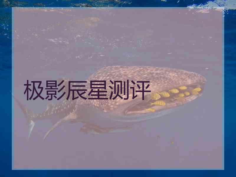 极影辰星测评