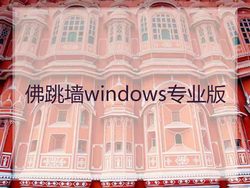 佛跳墙windows专业版