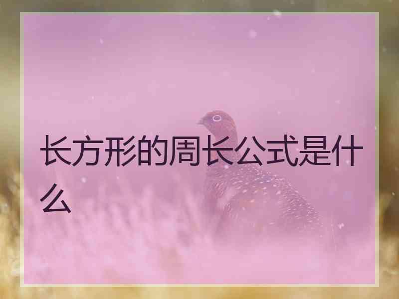 长方形的周长公式是什么