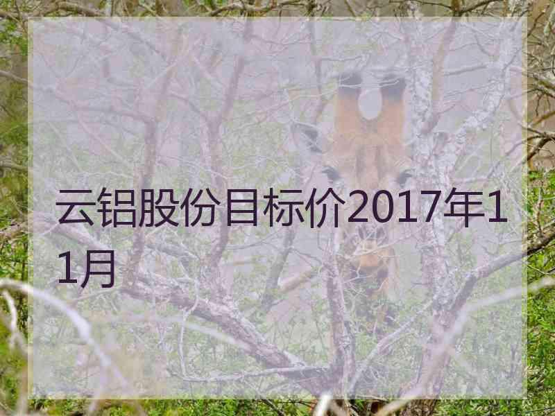 云铝股份目标价2017年11月