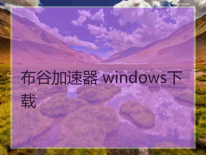 布谷加速器 windows下载