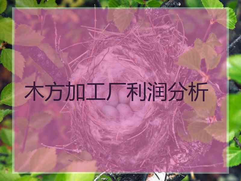 木方加工厂利润分析