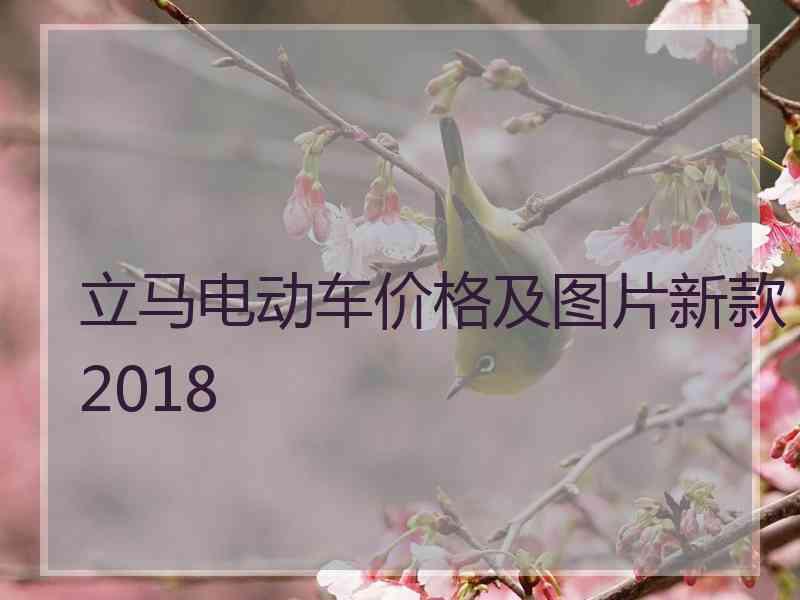 立马电动车价格及图片新款2018