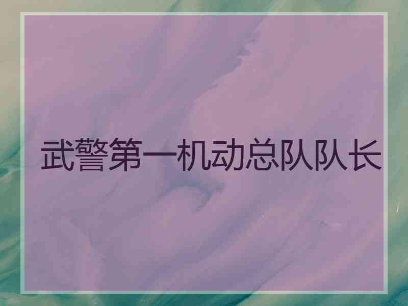 武警第一机动总队队长