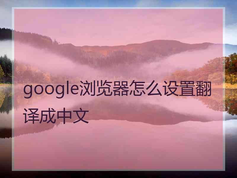 google浏览器怎么设置翻译成中文