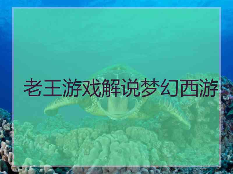 老王游戏解说梦幻西游