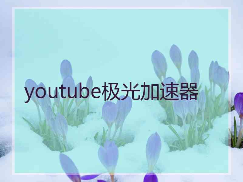 youtube极光加速器