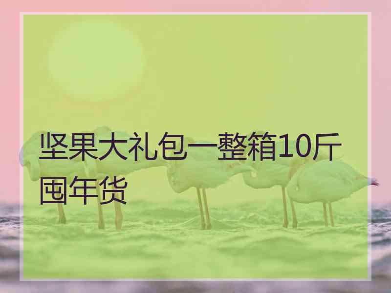 坚果大礼包一整箱10斤囤年货