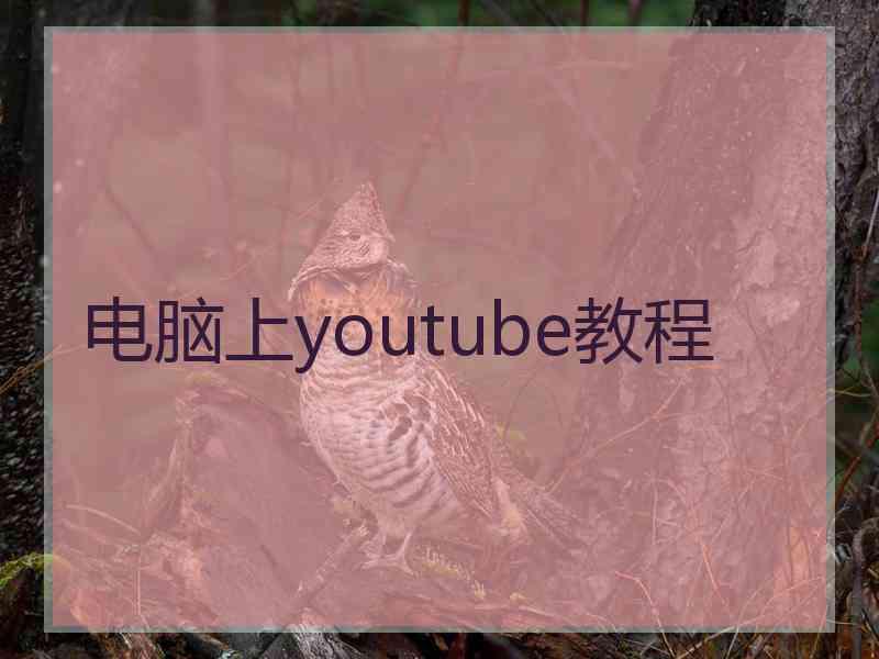 电脑上youtube教程