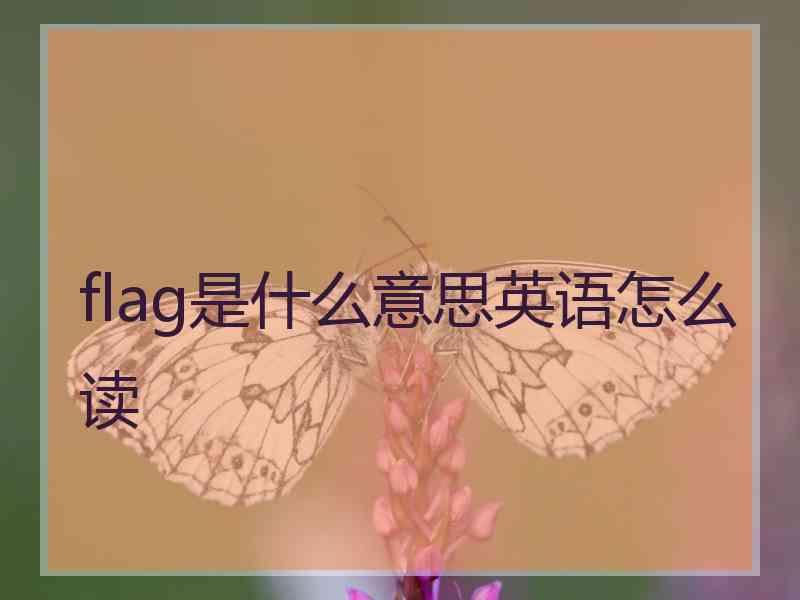 flag是什么意思英语怎么读