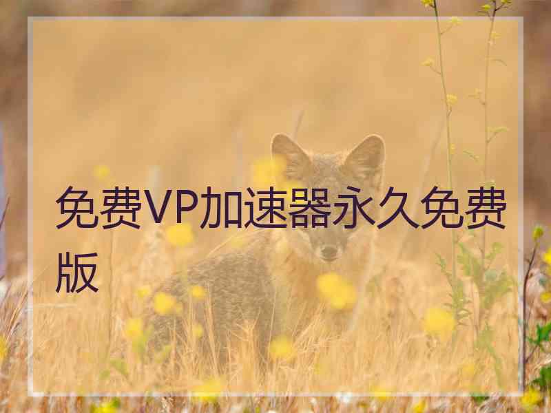 免费VP加速器永久免费版