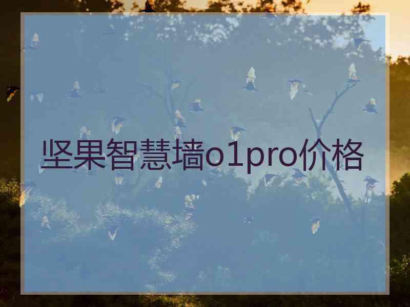 坚果智慧墙o1pro价格