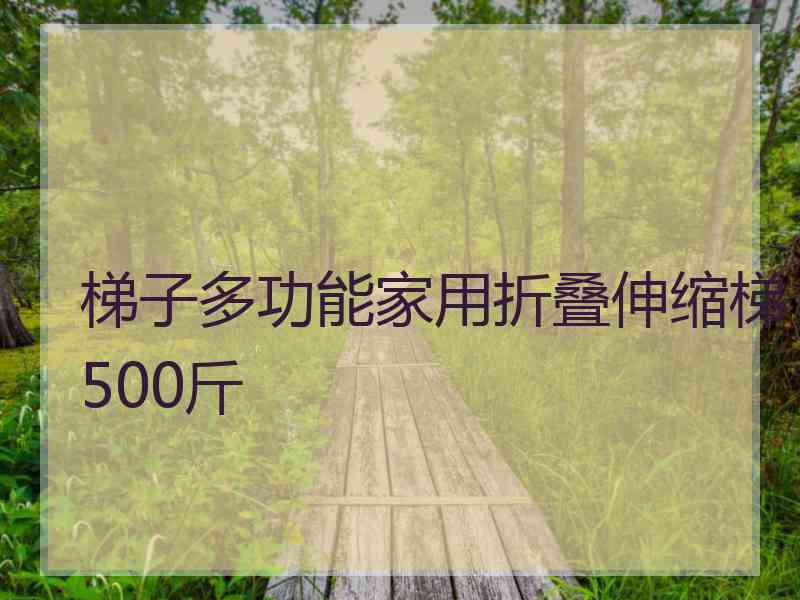 梯子多功能家用折叠伸缩梯500斤