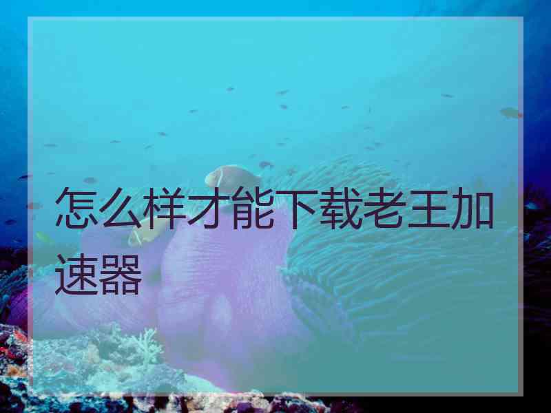 怎么样才能下载老王加速器