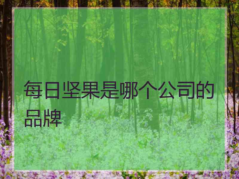 每日坚果是哪个公司的品牌