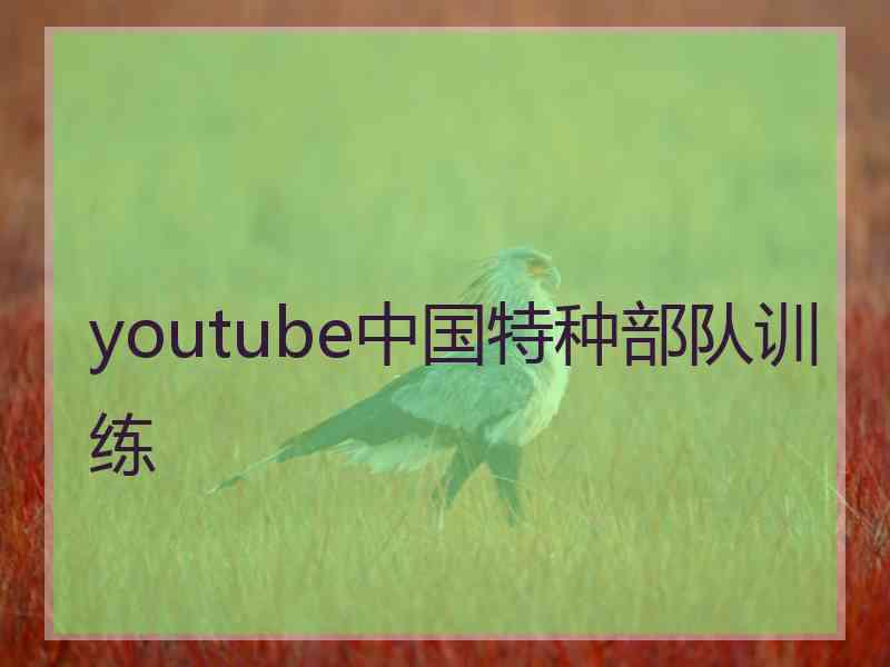 youtube中国特种部队训练