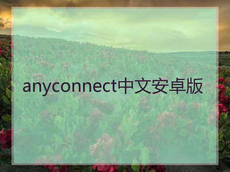 anyconnect中文安卓版