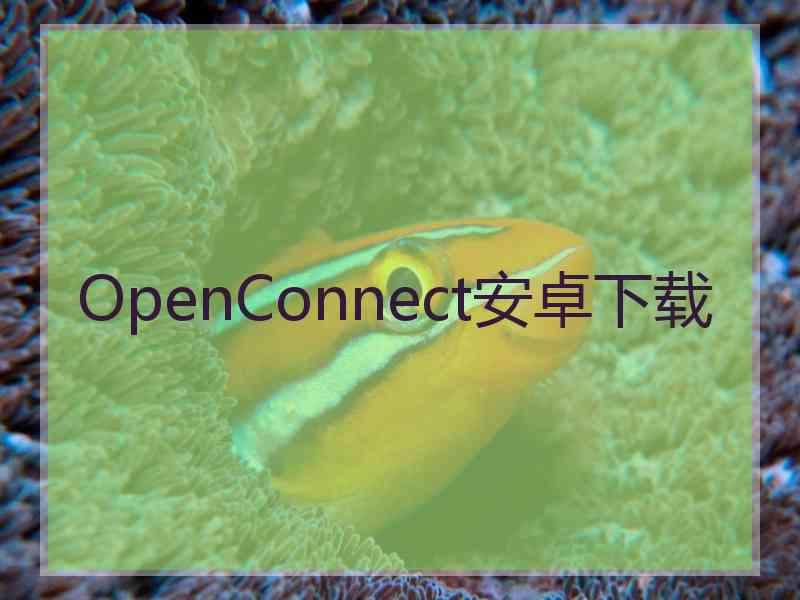 OpenConnect安卓下载