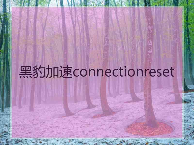 黑豹加速connectionreset