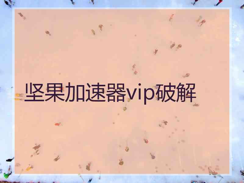 坚果加速器vip破解